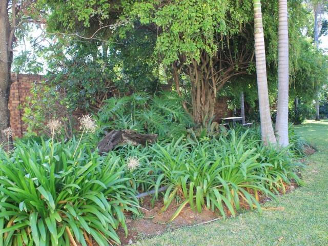 El Palmar Guesthouse